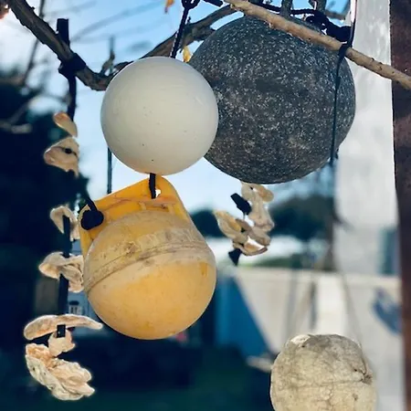 Constantine A 2 Pas Du Port De Boyardville *